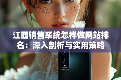 江西销售系统怎样做网站排名：深入剖析与实用策略
