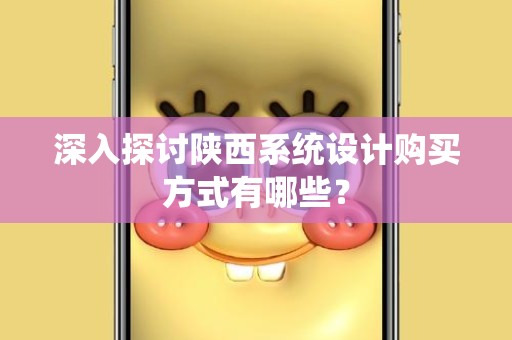 深入探讨陕西系统设计购买方式有哪些？