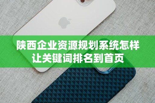 陕西企业资源规划系统怎样让关键词排名到首页