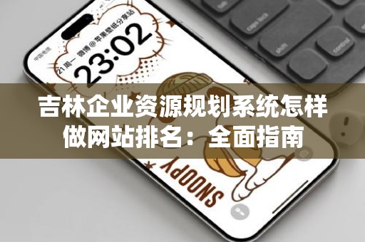 吉林企业资源规划系统怎样做网站排名：全面指南