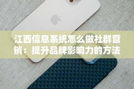 江西信息系统怎么做社群营销：提升品牌影响力的方法