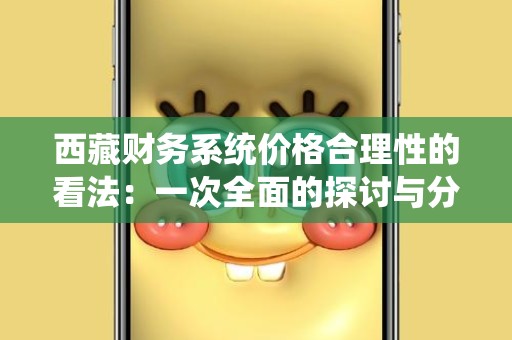 西藏财务系统价格合理性的看法：一次全面的探讨与分析