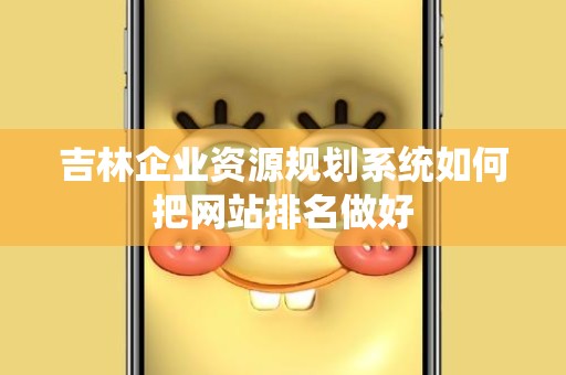 吉林企业资源规划系统如何把网站排名做好