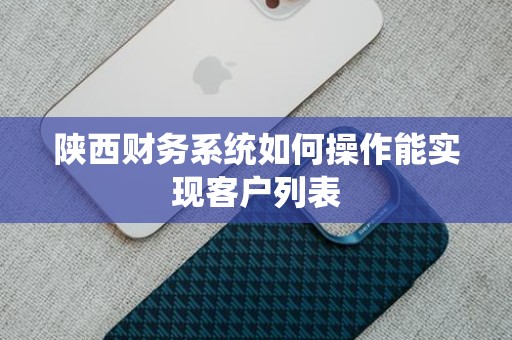 陕西财务系统如何操作能实现客户列表