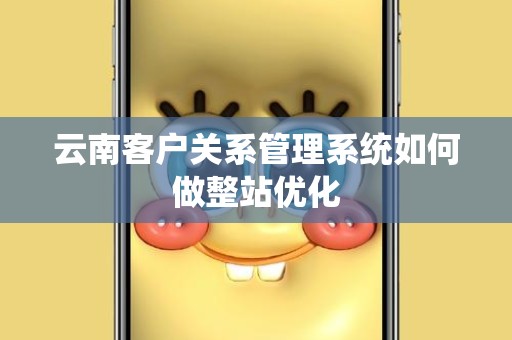 云南客户关系管理系统如何做整站优化