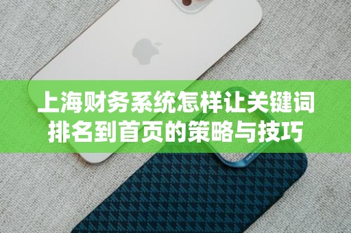 上海财务系统怎样让关键词排名到首页的策略与技巧