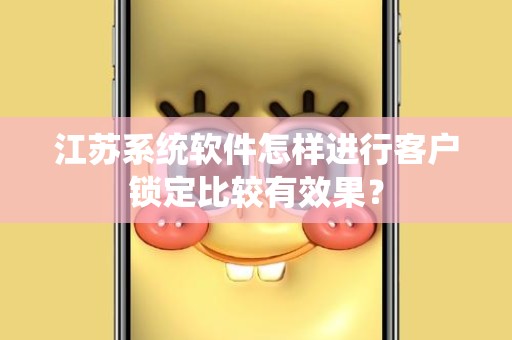 江苏系统软件怎样进行客户锁定比较有效果？
