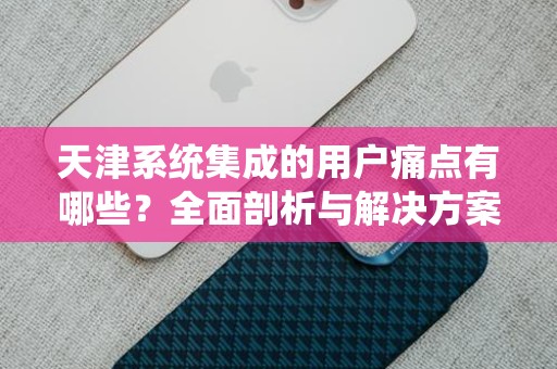 天津系统集成的用户痛点有哪些？全面剖析与解决方案