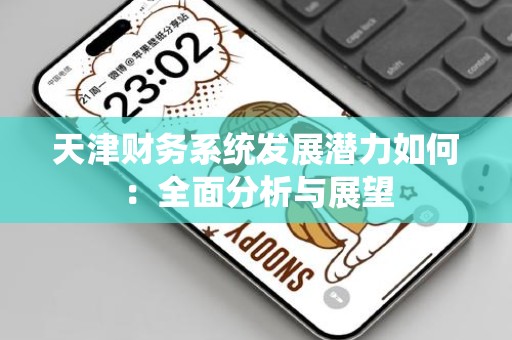 天津财务系统发展潜力如何：全面分析与展望