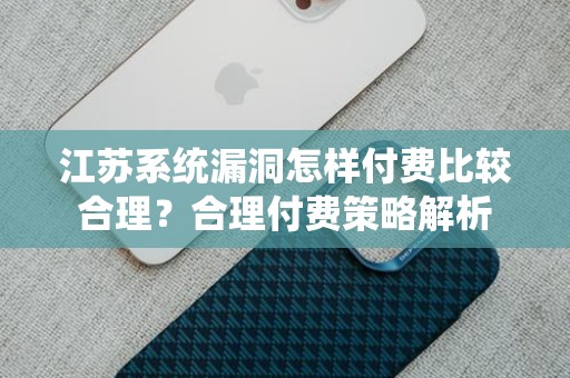 江苏系统漏洞怎样付费比较合理？合理付费策略解析