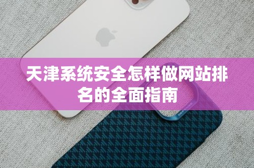 天津系统安全怎样做网站排名的全面指南