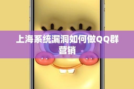 上海系统漏洞如何做QQ群营销