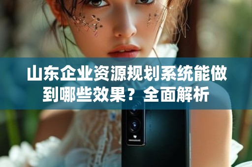 山东企业资源规划系统能做到哪些效果？全面解析