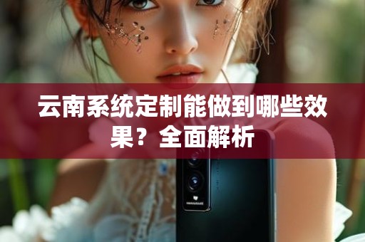 云南系统定制能做到哪些效果？全面解析