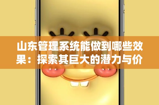 山东管理系统能做到哪些效果：探索其巨大的潜力与价值