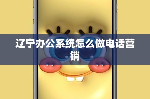 辽宁办公系统怎么做电话营销