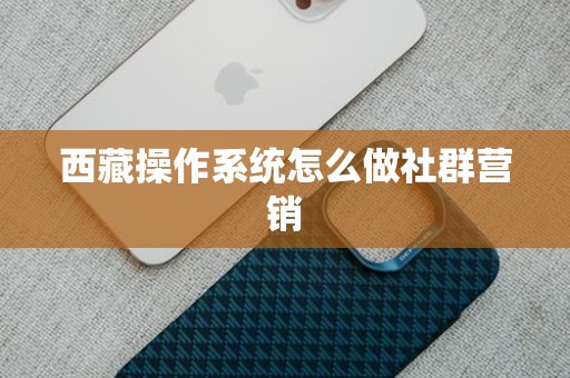 西藏操作系统怎么做社群营销