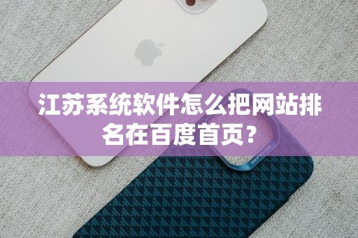江苏系统软件怎么把网站排名在百度首页？