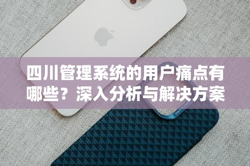 四川管理系统的用户痛点有哪些？深入分析与解决方案