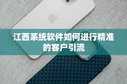 江西系统软件如何进行精准的客户引流