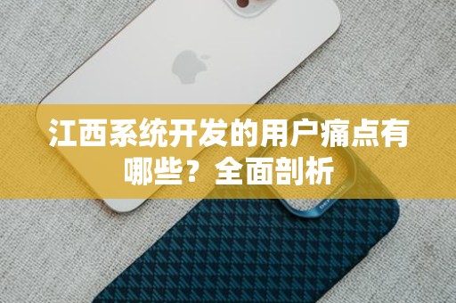 江西系统开发的用户痛点有哪些？全面剖析