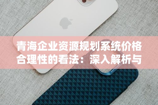 青海企业资源规划系统价格合理性的看法：深入解析与探讨