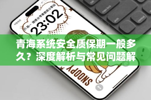 青海系统安全质保期一般多久？深度解析与常见问题解答
