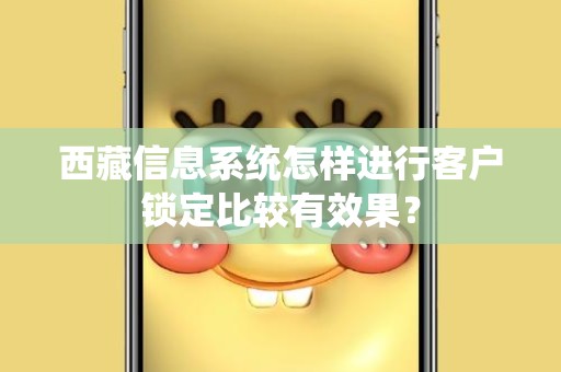 西藏信息系统怎样进行客户锁定比较有效果？