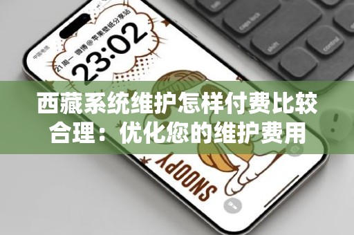 西藏系统维护怎样付费比较合理：优化您的维护费用