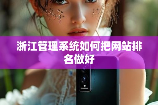 浙江管理系统如何把网站排名做好