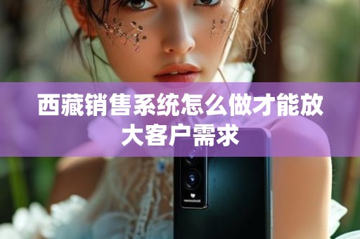 西藏销售系统怎么做才能放大客户需求