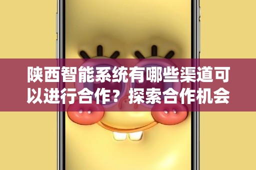 陕西智能系统有哪些渠道可以进行合作？探索合作机会的全貌