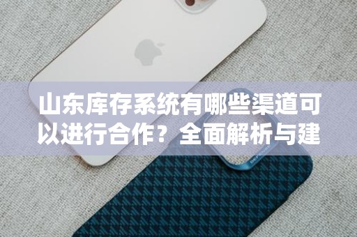 山东库存系统有哪些渠道可以进行合作？全面解析与建议