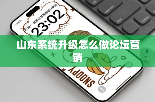 山东系统升级怎么做论坛营销