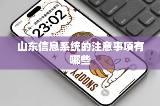 山东信息系统的注意事项有哪些