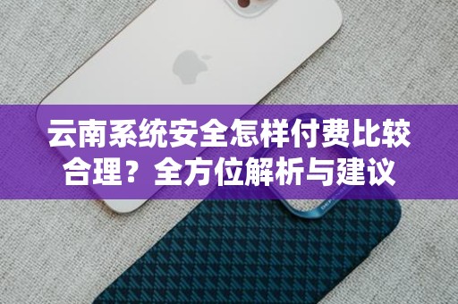 云南系统安全怎样付费比较合理？全方位解析与建议