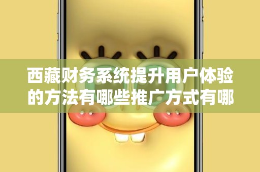 西藏财务系统提升用户体验的方法有哪些推广方式有哪些