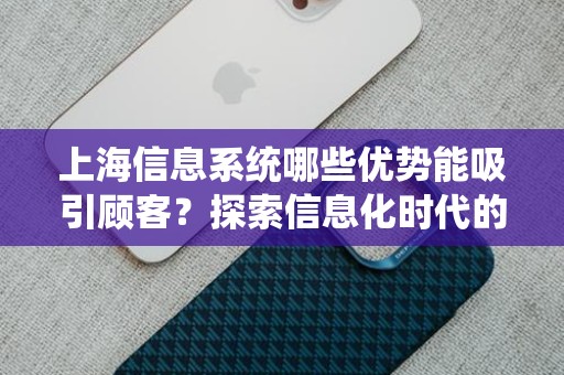 上海信息系统哪些优势能吸引顾客？探索信息化时代的市场竞争力