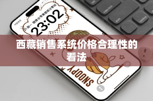 西藏销售系统价格合理性的看法
