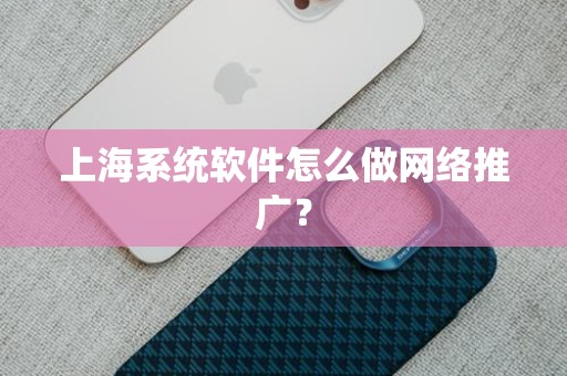 上海系统软件怎么做网络推广？
