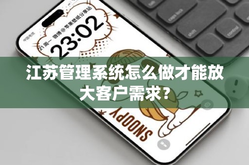 江苏管理系统怎么做才能放大客户需求？