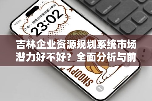 吉林企业资源规划系统市场潜力好不好？全面分析与前景展望