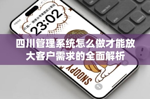 四川管理系统怎么做才能放大客户需求的全面解析