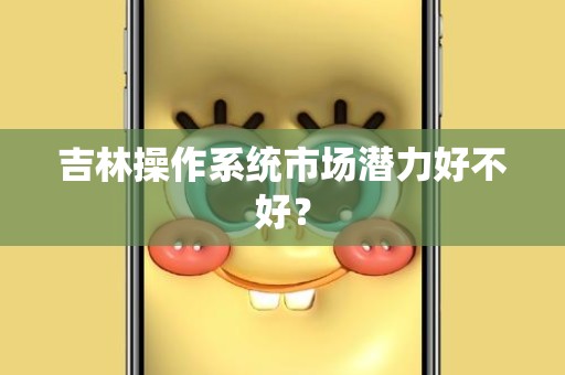 吉林操作系统市场潜力好不好？