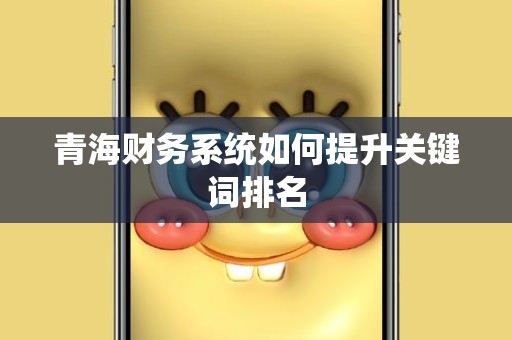 青海财务系统如何提升关键词排名