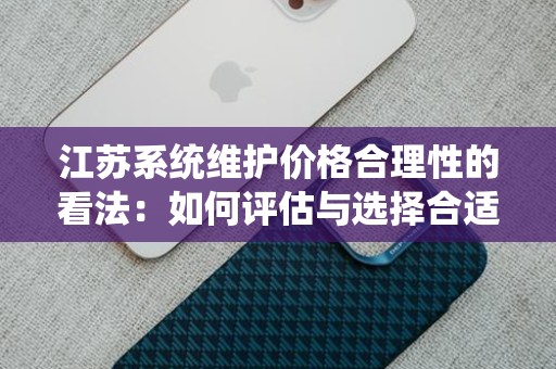 江苏系统维护价格合理性的看法：如何评估与选择合适的服务