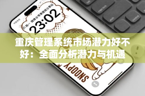 重庆管理系统市场潜力好不好：全面分析潜力与机遇
