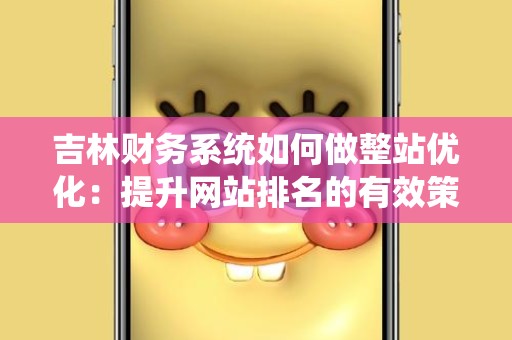 吉林财务系统如何做整站优化：提升网站排名的有效策略