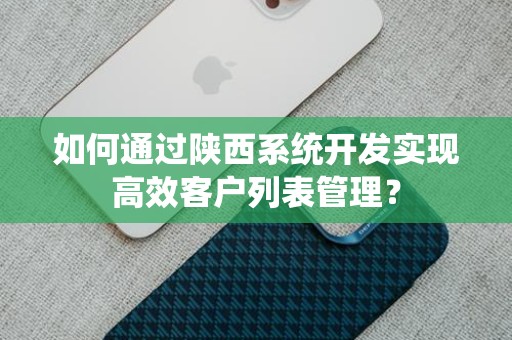 如何通过陕西系统开发实现高效客户列表管理？