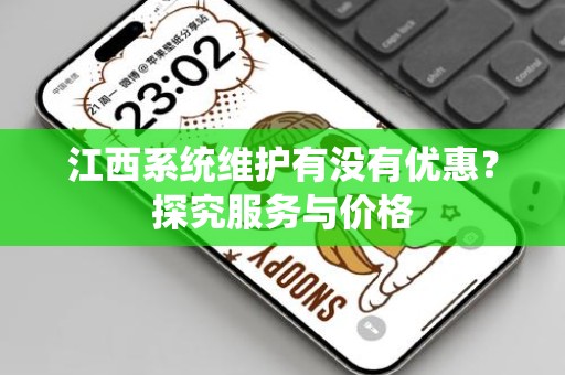 江西系统维护有没有优惠？探究服务与价格